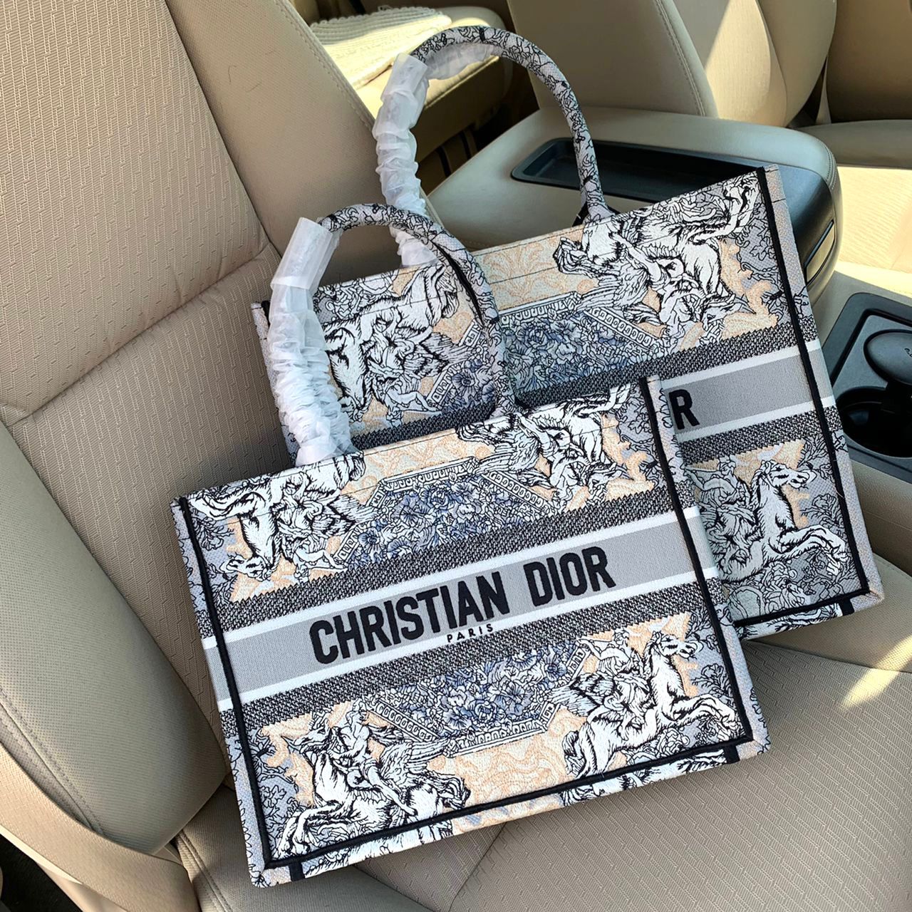 Medium Dior Book Tote Bag
