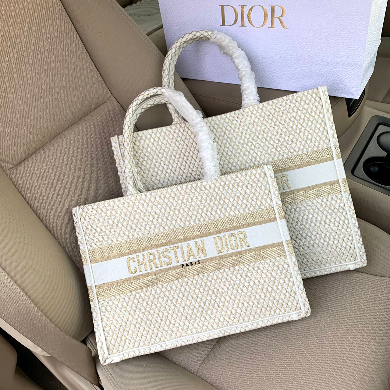 Large Dior Book Tote Bag