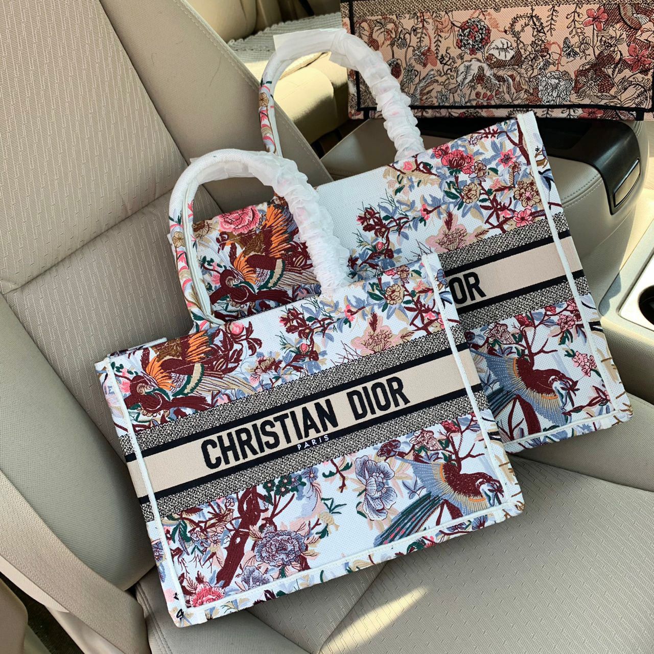 Large Dior Book Tote Bag