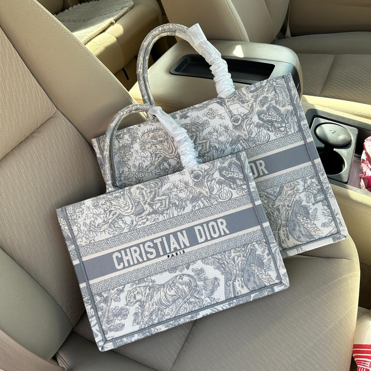 Medium Dior Book Tote Bag