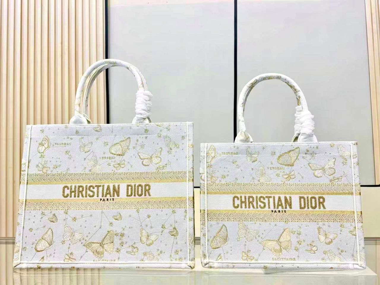 Dior Book Tote Bag
